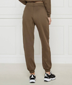 Спортивные штаны Armani Exchange - коричневый(XW000089 AF10172)