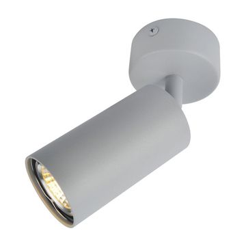 Спот потолочный A3216PL-1GY серый Aquarius Arte Lamp