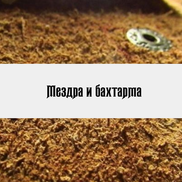 Мездра и Бахтарма Мездра и Бахтарма
