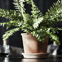 IKEA MUSKOTBLOMMA  (ИКЕА МУСКОТБЛОММА)  -  Горшок с поддоном - для дома/улицы терракота 15 см