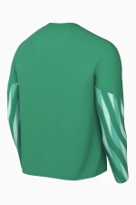 Футболка с длинными рукавами Nike Dri-FIT V Goalkeeper - зеленый