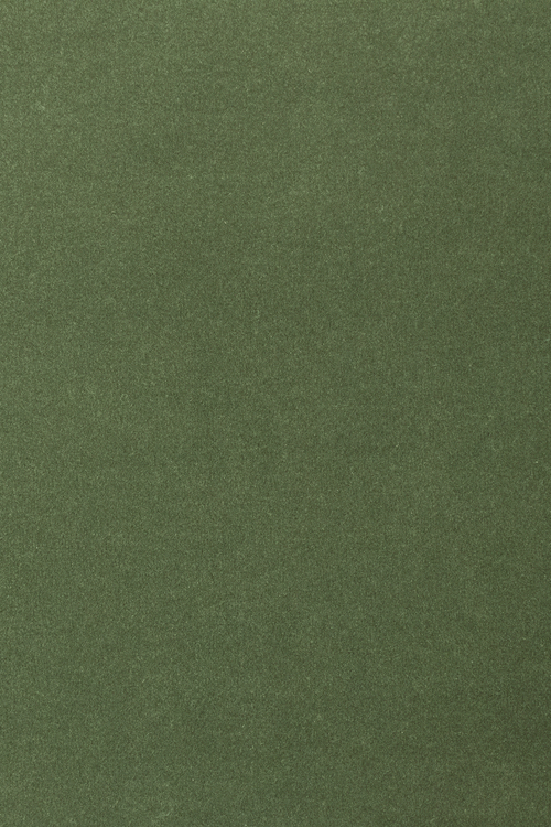 Ковровое покрытие AW The Velvet Collection Onione 24