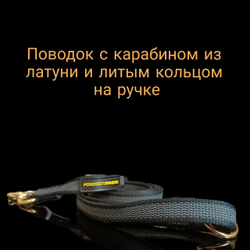 Поводок профессиональный из стропы с латеснной нитью латунной фурнитурой Fordogtrainers.
