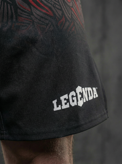 Шорты спортивные тренировочные черные LEGENDA Вальхалла