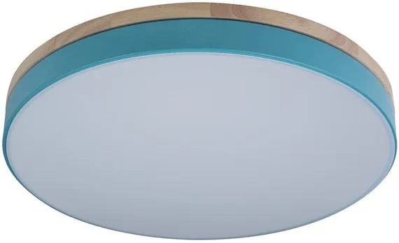 Потолочный светильник Axel 10001/36 Blue Loft It