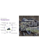 MiMax (Маймакс) омоложение и укрепление организма 20 саше