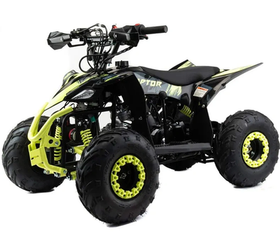 Квадроцикл MOTOLAND (МОТОЛЕНД) 110 RAPTOR A
