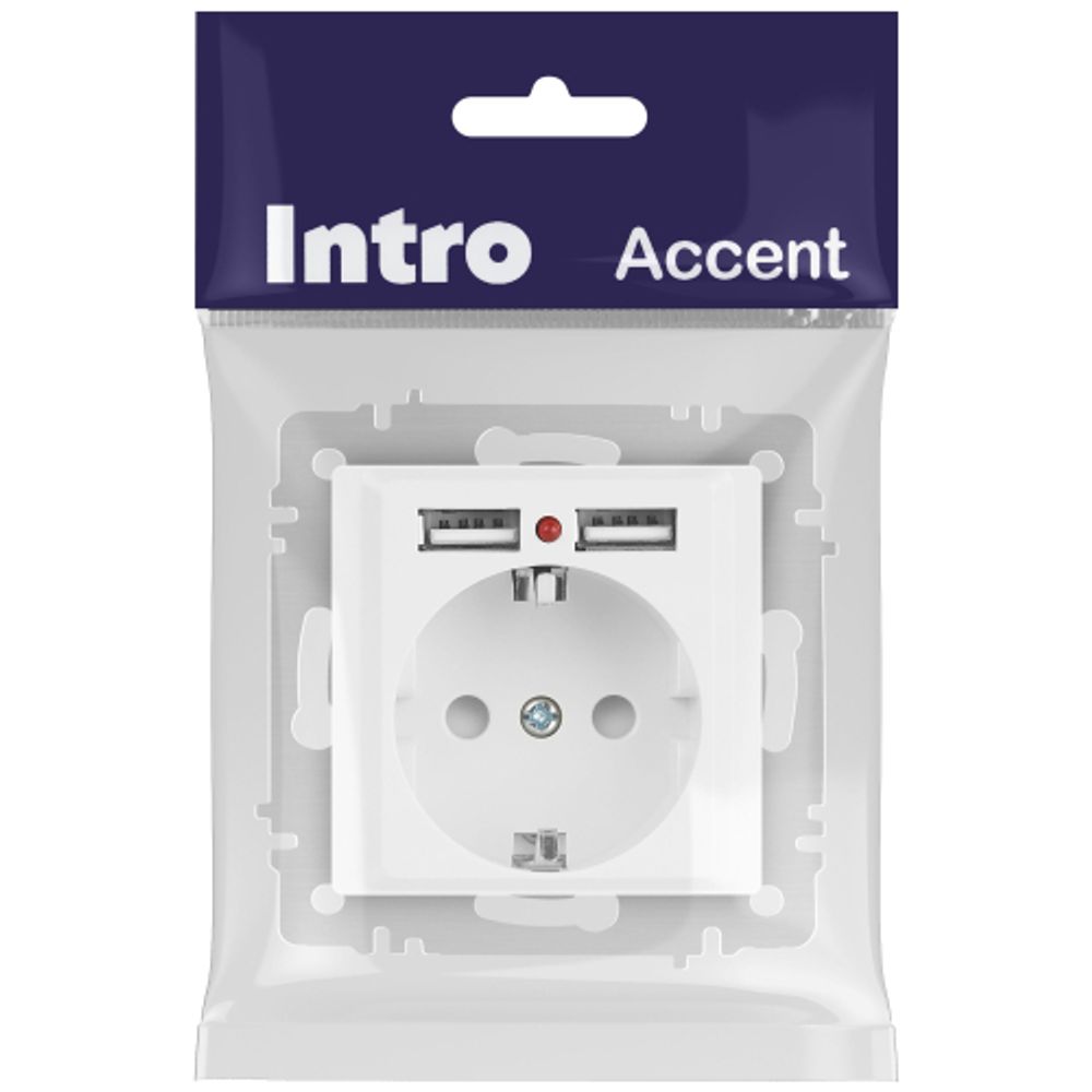 Розетка Intro Accent 6-410-01М с заземлением 2P+E Schuko со шторками 16А-250В + 2хUSB IP20 СУ белый матовый | Intro