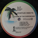 Startled Insects / Curse Of The Pheromones (LP)