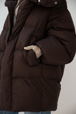 Пуховик SWAN