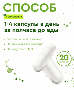 Синтезит Железо (Блистер)