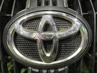 Решетка радиатора Toyota Land Cruiser Prado 150 (2017-н.в.)