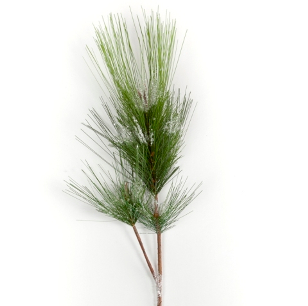 Ветка сосны Goodwill Spruce branch