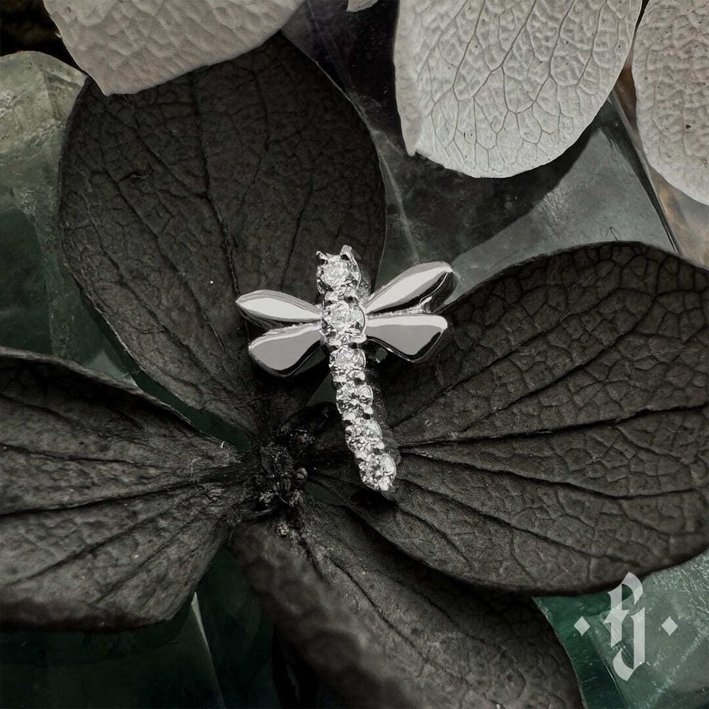 Накрутка "Dragonfly" - Белое золото - White CZ Накрутка "Dragonfly" - Белое золото - White CZ