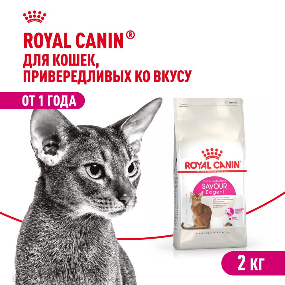 Royal Canin Savour Exigent Сэйвор Экзиджент Корм сухой для взрослых кошек привередливых ко вкусу 2кг