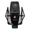 SE Electronics SE4100 LDC Black