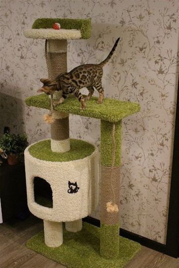 Домик для кота Д-2