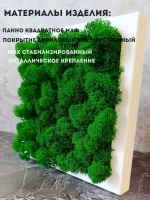 Квадратное панно на стену 20*20 из мха набор 2 шт.