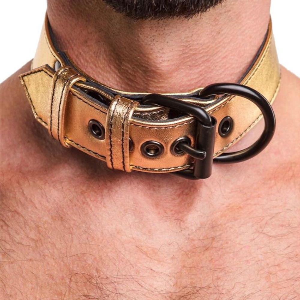 Ошейник "Metallic Pup" с поводком (по цветам) (золотой)
