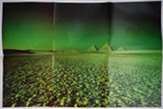 Pink Floyd / The Dark Side Of The Moon (LP)
