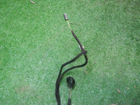 DSCN0238.JPG