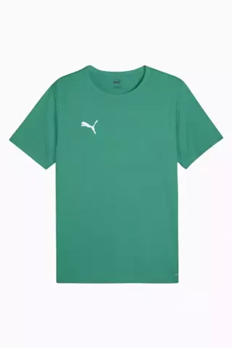 Футболка Puma teamRISE Matchday