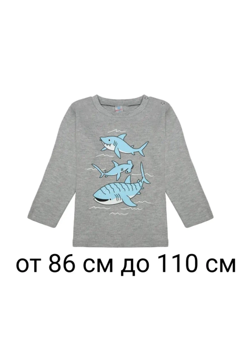 Футболка для садика с длинным рукавом.1 шт.мальчик