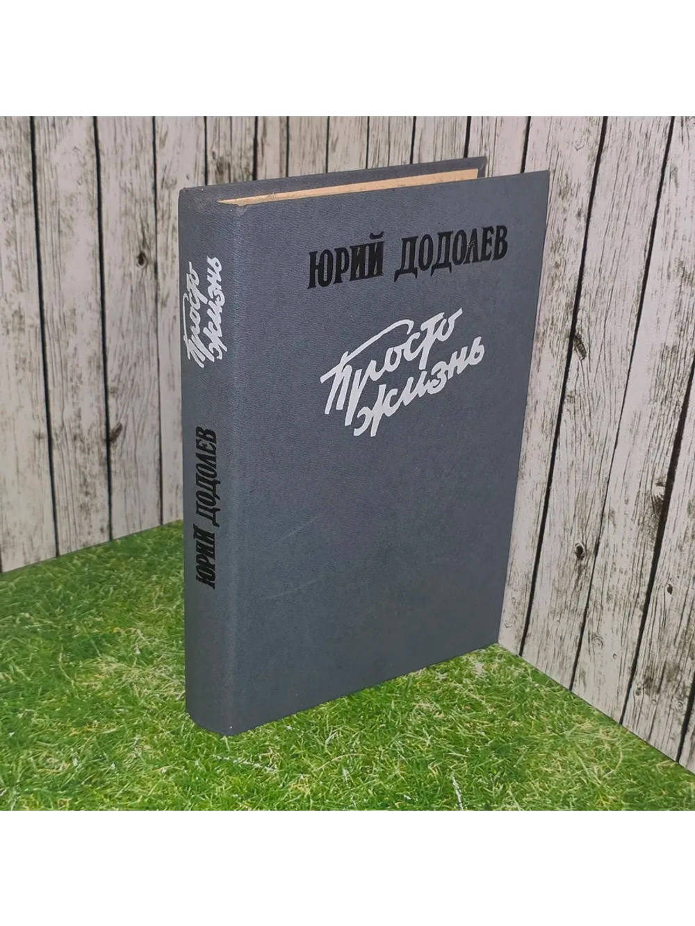 книга " Просто жизнь "