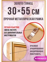 Алюминиевая рамка 30х55 см