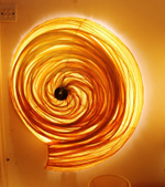 Shell wall lamp by Aqua Creations