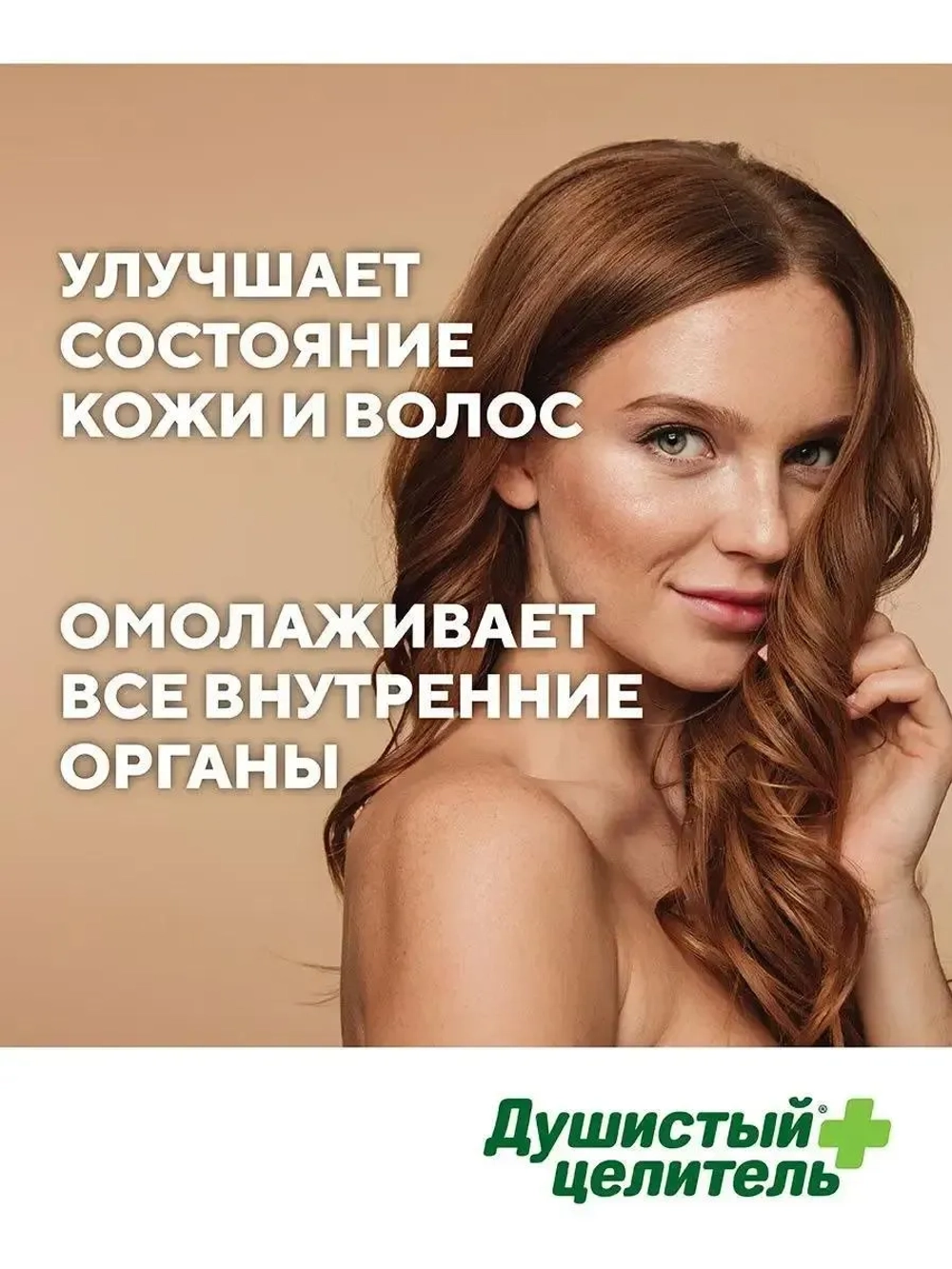 Травяной чага чай с шиповником 200 грамм