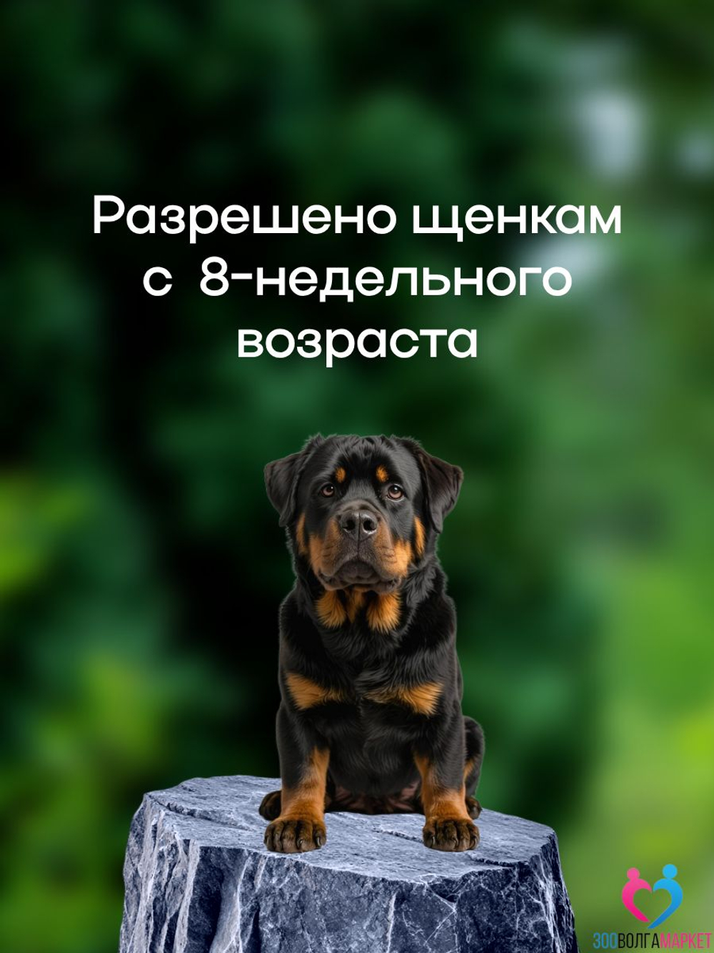 ВЕПРИПАК 1000 мг - таблетки от блох и клещей для собак крупных пород 20-40 кг,1 таблетка