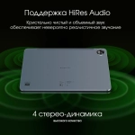Планшет Digma Pro Empire 8/256Gb 12" (TA3E2M01) серый