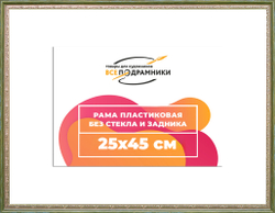 Рама 25x45 для картин и фотографий