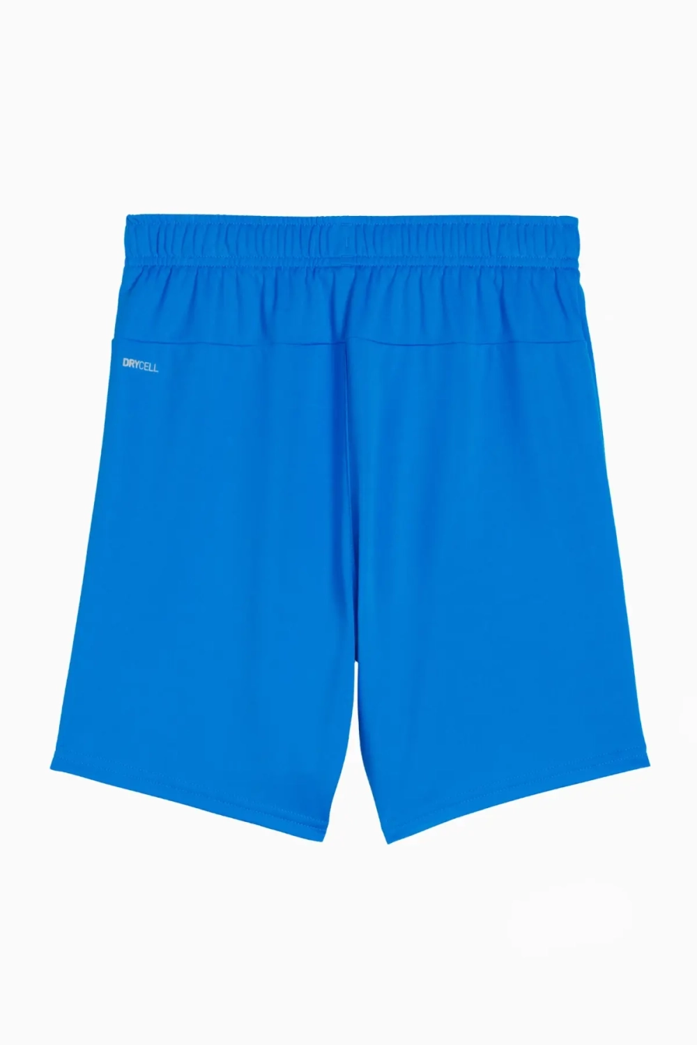 Шорты Puma teamGOAL Junior - синий