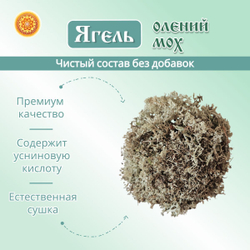 Ягель мох (кладония)