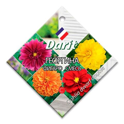 Георгина Фигаро смесь, семена Дарит 0,3г