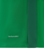 Футболка игровая Jogel DIVISION PerFormDRY Element Jersey 26, зеленый 72