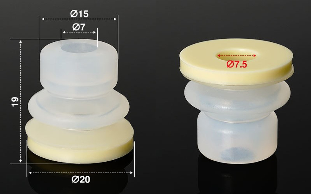 BHDM-20