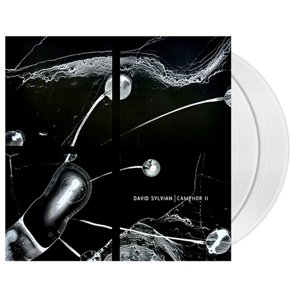 David Sylvian / Camphor II (Limited Edition)(Coloured Vinyl)(2LP)