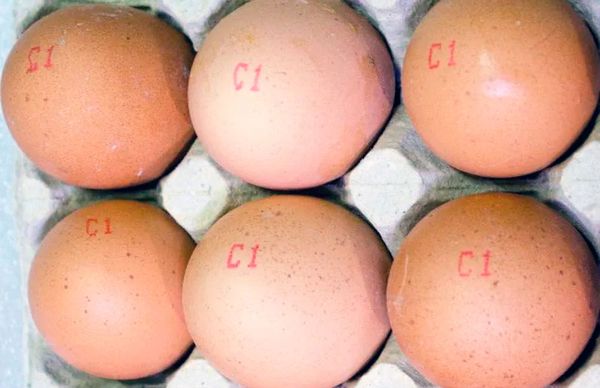 Как читать маркировку на яйцах и определить их свежесть Как читать маркировку на яйцах и определить их свежесть