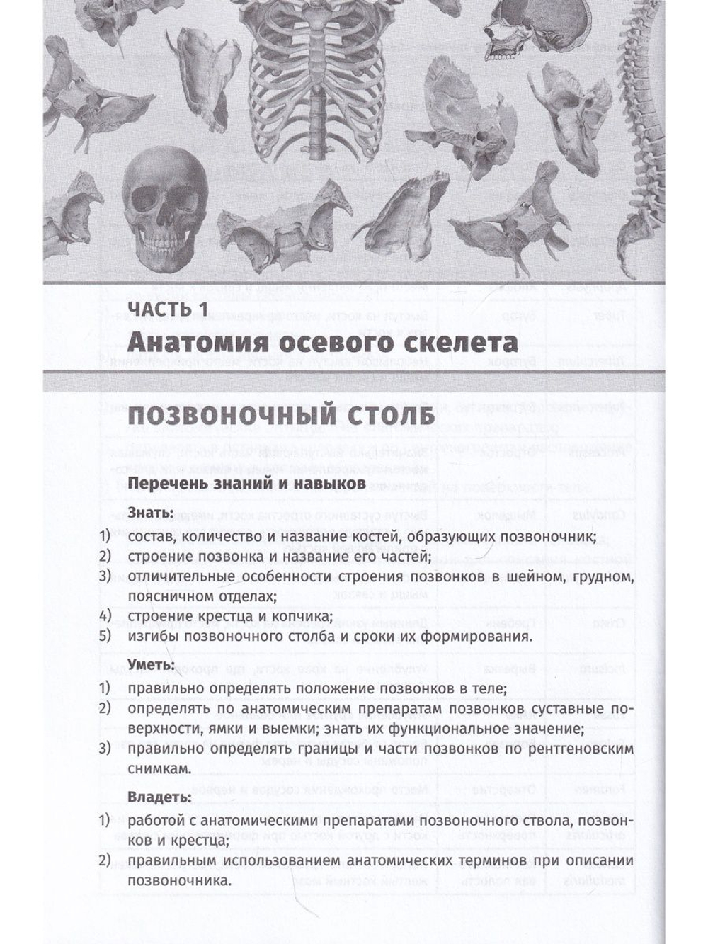 Остеология