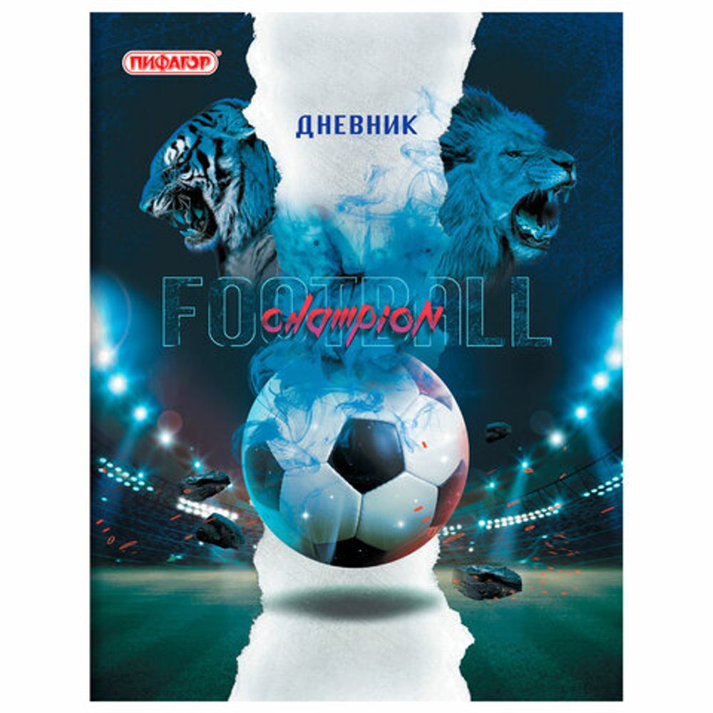 Дневник 1-11 класс 40 л., на скобе, ПИФАГОР, обложка картон, "Football", 106341
