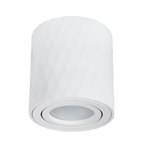 Накладной светильник Arte Lamp FANG A5559PL-1WH