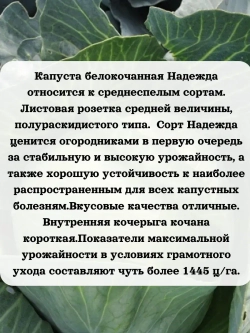 Семена капуста белокочанная Надежда 5 гр