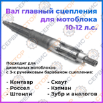 VM054-MT-zubr
