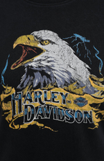 Футболка Eagle Flame Graphic Harley-Davidson
