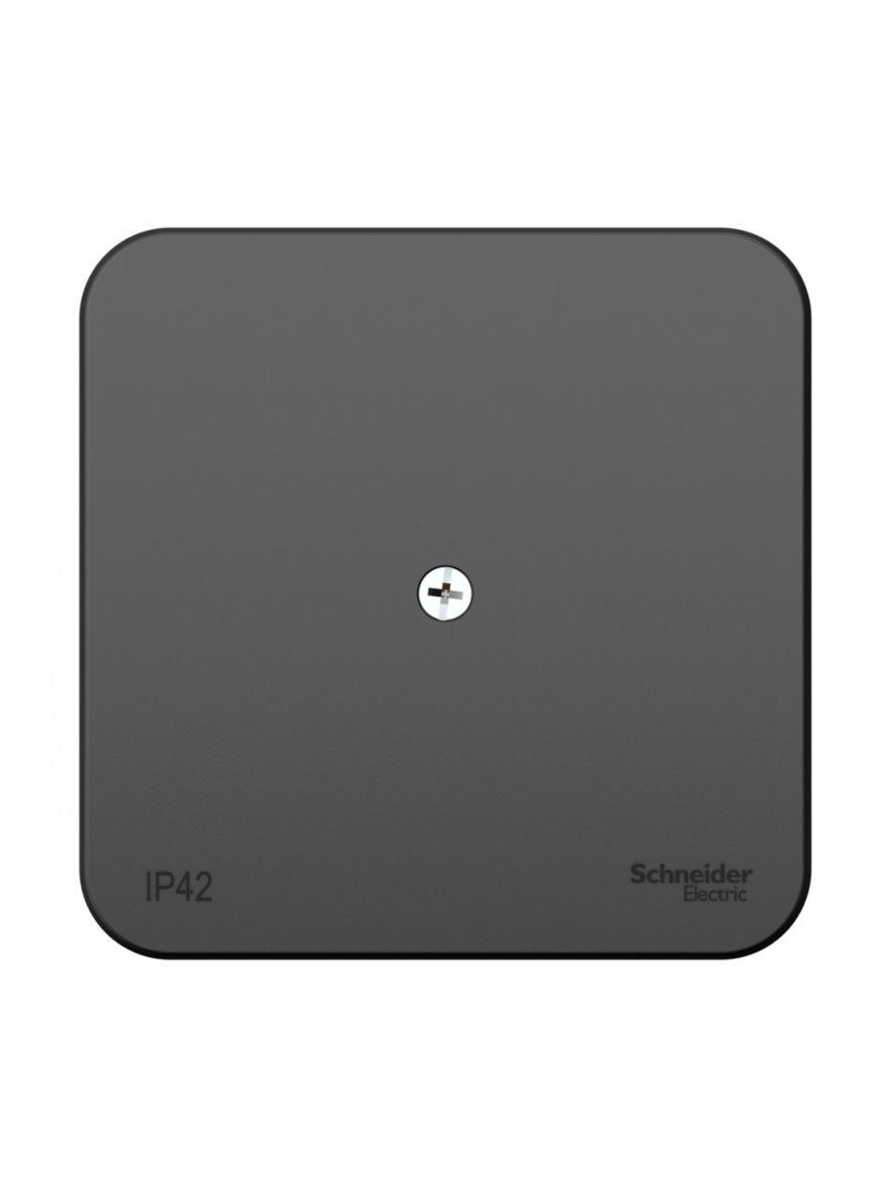 Коробка распределительная ОП Blanca IP42 антрацит SE BLNRK000016