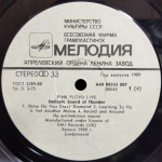 Pink Floyd / Delicate Sound Of Thunder (2LP)